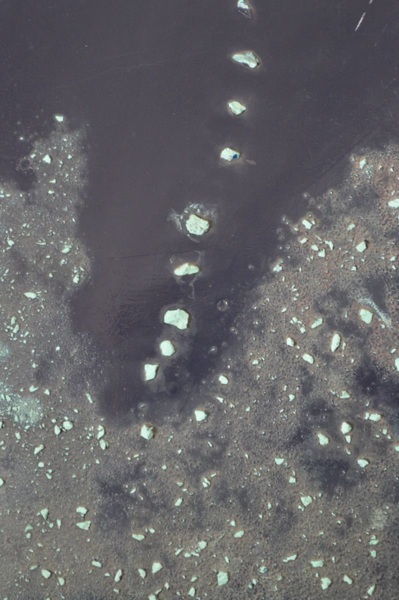 Opera d'arte "Luce Verderame" di Gianfranco Lopo